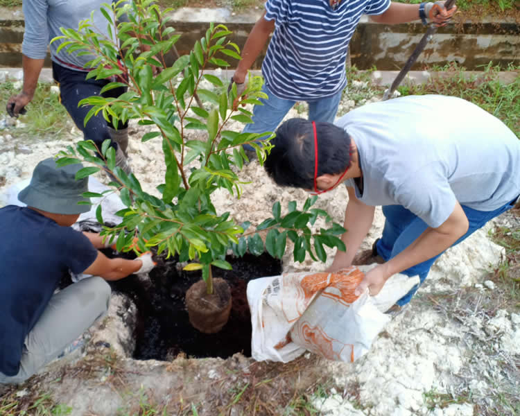 project-image